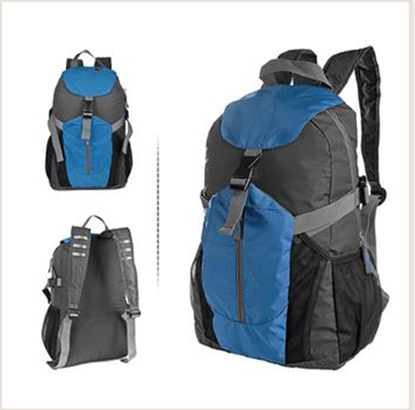 Daypack Backpack (#166) (Foldable) Lightweight - En Route Travelware